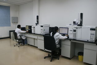 華科檢測技術服務積極捐資支持新中學建設，助力信息技術咨詢服務發(fā)展